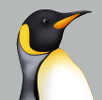 King penguin